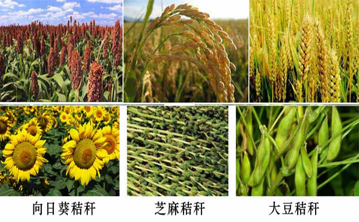 秸稈原材料圖片 秸稈原材料圖片