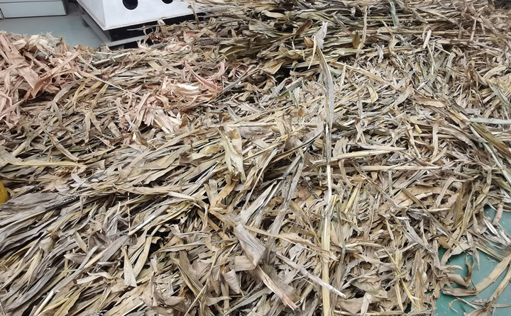 鋸末顆粒機(jī)原料玉米桿 鋸末顆粒機(jī)原料玉米桿