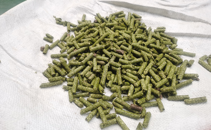 鋸末顆粒機加工的顆粒燃料 鋸末顆粒機加工的顆粒燃料