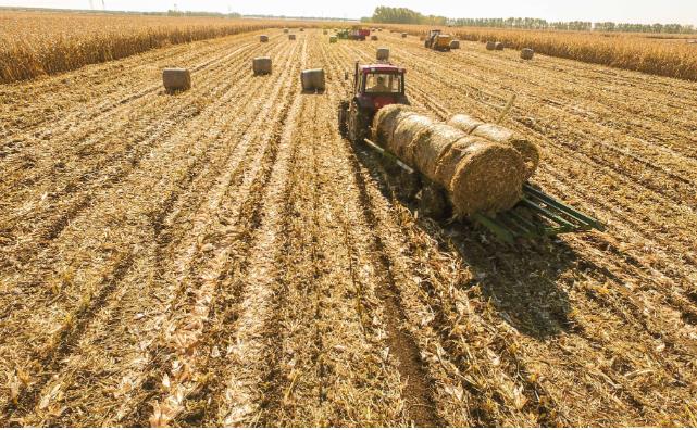 木屑顆粒機(jī):推動(dòng)鄉(xiāng)村發(fā)展的新引擎 木屑顆粒機(jī):推動(dòng)鄉(xiāng)村發(fā)展的新引擎