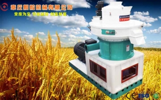 中國(guó)創(chuàng)新提速，綠色經(jīng)濟(jì)之離心高效環(huán)模顆粒機(jī)