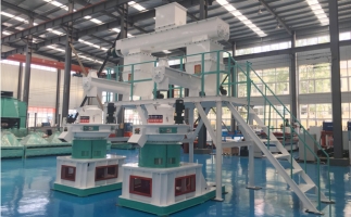 1噸的生物顆粒多少利潤？木屑顆粒機生產(chǎn)廠家分析其成本