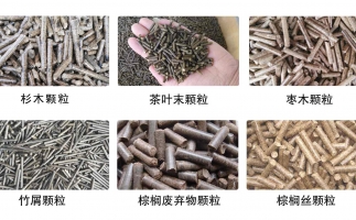 木屑顆粒機多少錢及發(fā)展趨勢如何？看這里