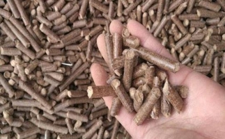 鋸末顆粒機生物質(zhì)燃料與燃煤對比情況如何？