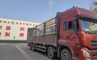 忙碌的五月，忙碌的發(fā)貨，金格瑞顆粒機生產(chǎn)線發(fā)往全國各地