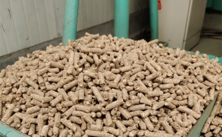 在燃燒時，水分大的生物質(zhì)顆粒會出現(xiàn)哪些問題？