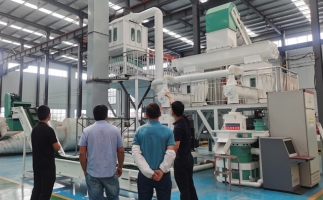 需要掌握木屑制粒機生產(chǎn)線的哪些輔助設備不能少？