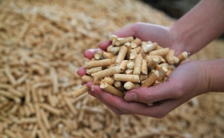 黟縣洪星鄉(xiāng)：“鋸末顆粒機(jī)的小顆?！睋Q來綠富雙贏