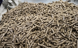 鋸末顆粒機(jī)的顆粒燃料比煤炭貴，為什么還有那么多人用？