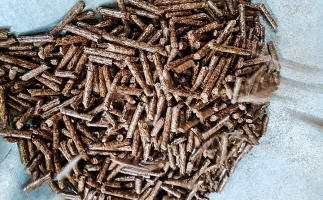 如何選擇鋸末顆粒機(jī)的顆粒燃料？講解！