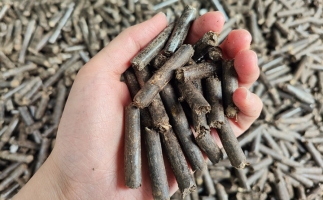 生物質(zhì)顆粒燃料公司前景怎么樣，木屑顆粒機的顆粒燃料賣給誰的？