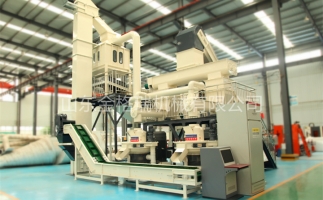 辦木屑顆粒燃料廠需要準備哪些工作？山東顆粒機廠家和您說說